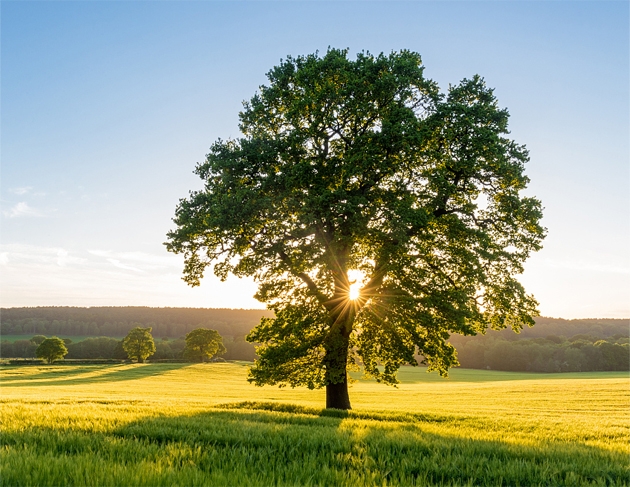 南宫NG·28(中国)最新官方网站